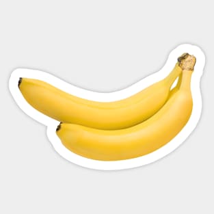 Yellow bananas Sticker